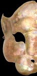 Copper Jaguar Mask