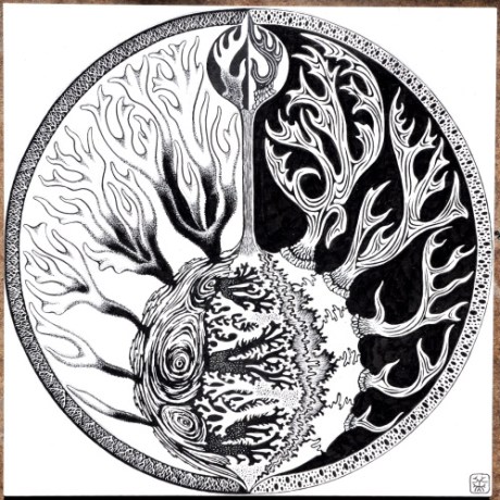 Antler Fungus Antler Fungus