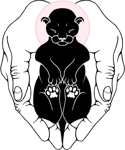 New Year Black Kitten New Year Black Kitten