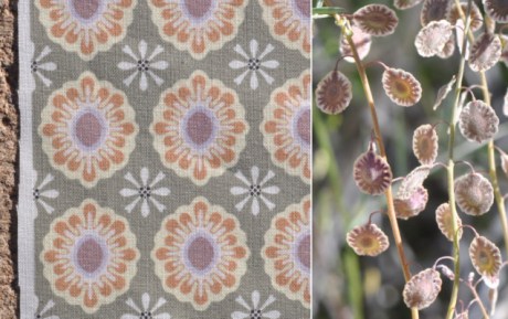 Lacepod with Fabric Lacepod with Fabric