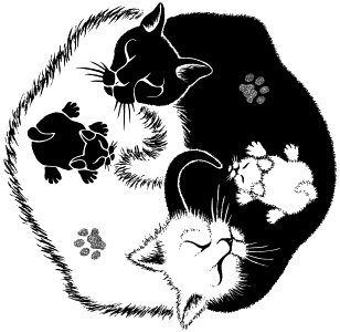 Yin Yang Cats